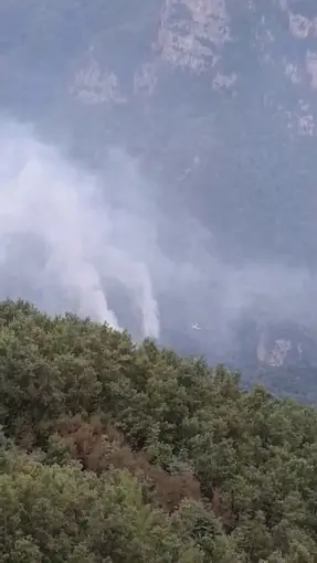 Hatay’daki orman yangını kontrol altına alındı
