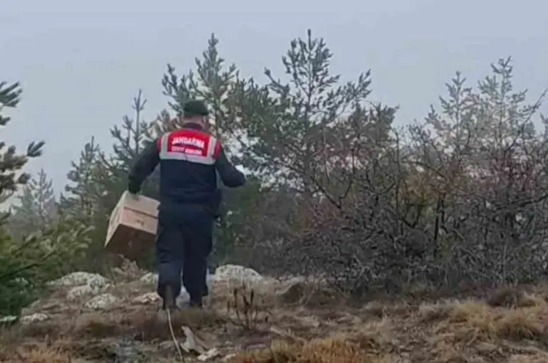 HAYDİ ekipleri doğadaki canlıları unutmadı
