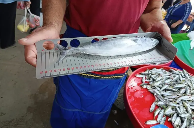 Hayrabolu’da balık tezgahlarında denetim
