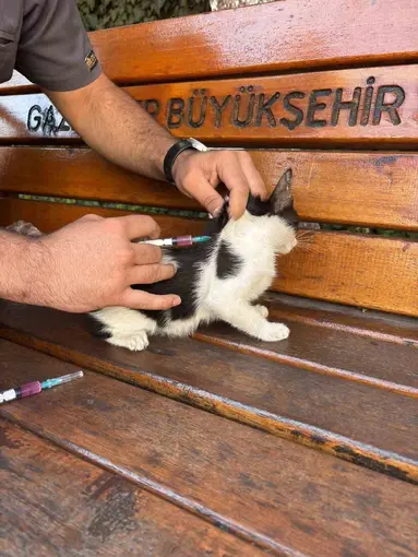 Hayvan dostu GKV’li öğrencilerden örnek davranış
