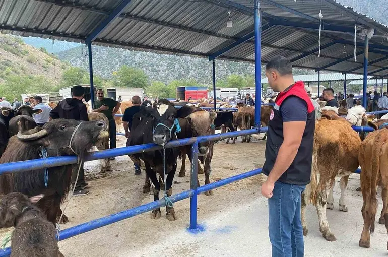 Hayvan pazarı şap hastalığı nedeniyle kapatıldı
