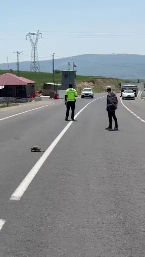 Hınıs’ta yürekleri ısıtan görüntü: Polis memuru kaplumbağa için trafiği durdurdu
