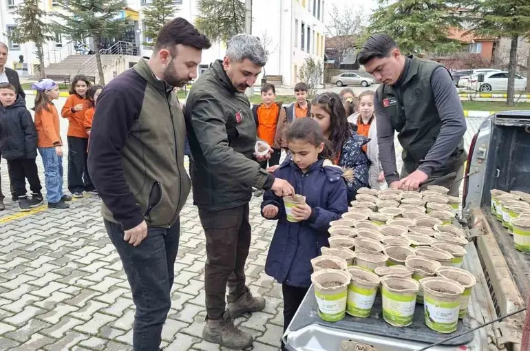 Hisarcık’ta minikler saksılarda karaçam fidanı yetiştirecek
