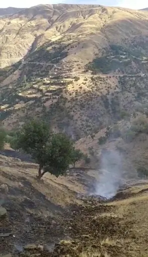 Hizan’da anız yangını
