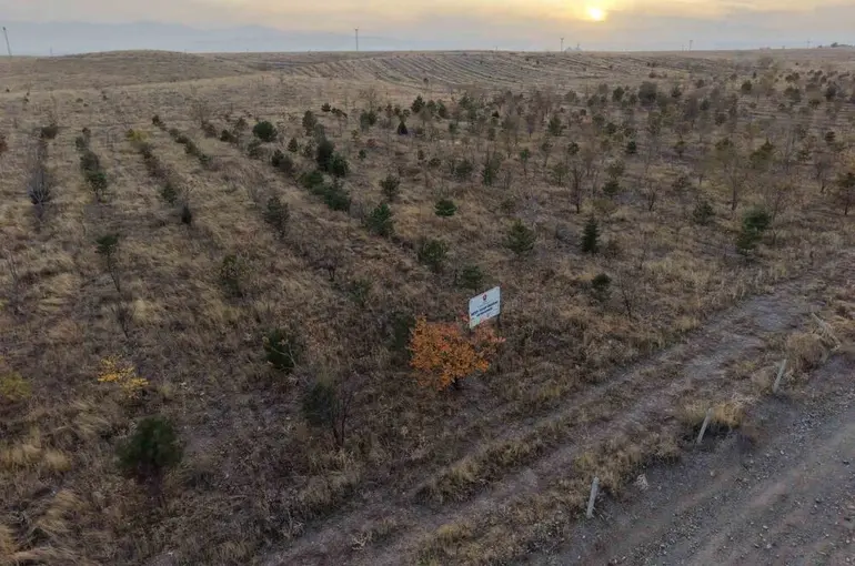 Iğdır’da fidanlar toprakla buluştu
