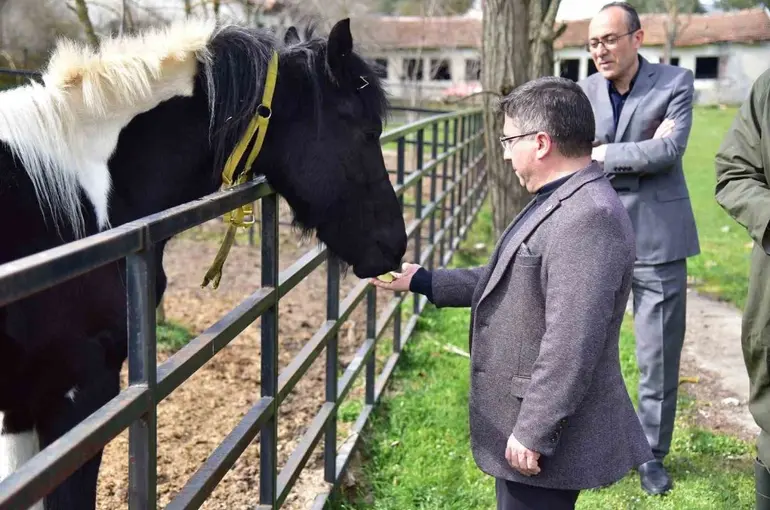 İlk tüp tay Balat 2 yaşında
