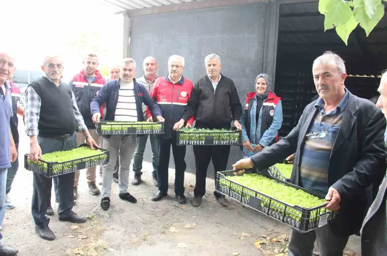 İnebolu’da 65 çiftçiye 88 bin 400 adet sebze fidesi dağıtıldı
