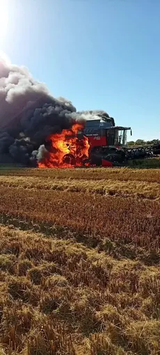 İpsala’da çeltik hasadı sırasında biçerdöver yandı
