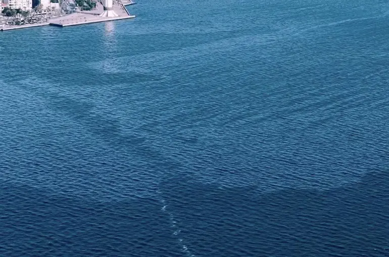 İzmir Körfezi’nde çevre kirliliği
