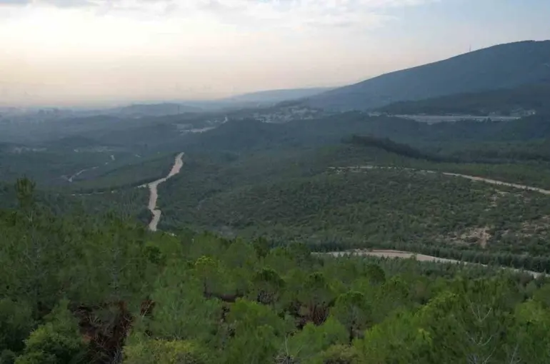 İzmir’de ormanlara giriş yasağı başladı
