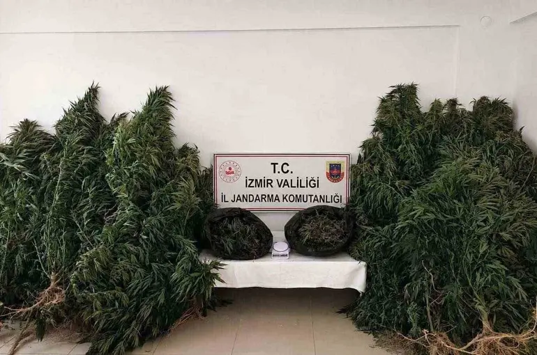 İzmir’de zehir tacirlerine ’drone’ destekli operasyon: 13,4 kilo esrar ele geçirildi
