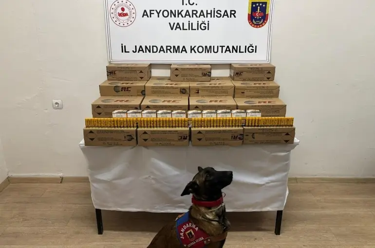 Jandarma 10 bin adet kaçak av tüfeği mermisi ele geçirdi
