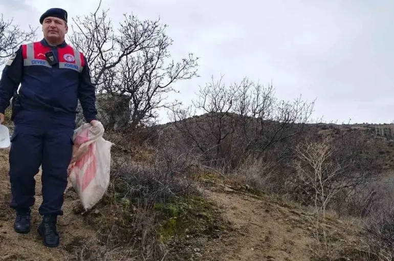 Jandarma ekipleri doğadaki canlıları unutmadı
