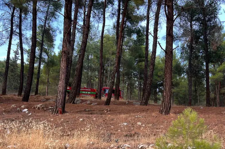 Kahramanmaraş’ta orman yangını
