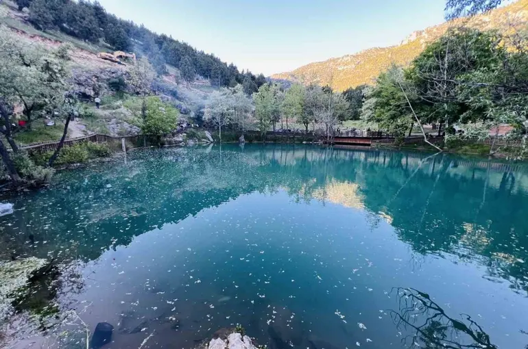 Kahramanmaraş’ta "Yeşilgöz" göz kamaştırıyor
