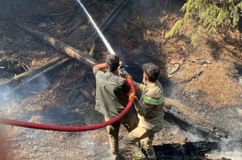 Kahramanmaraş’taki orman yangını kontrol altına alındı
