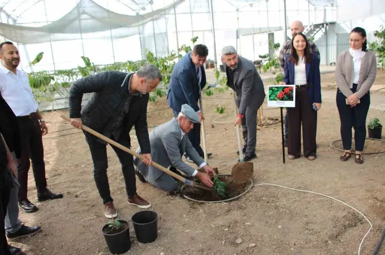 Kahve sadece adıyla değil üretimiyle de Türk olacak
