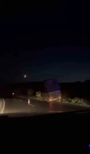 Karacabey’de kamyonet ağaçlara çarptı
