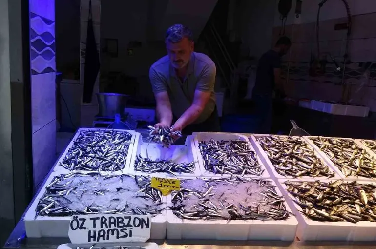 Karadeniz’de avı bollaştı, hamsi fiyatı 100 TL’ye düştü
