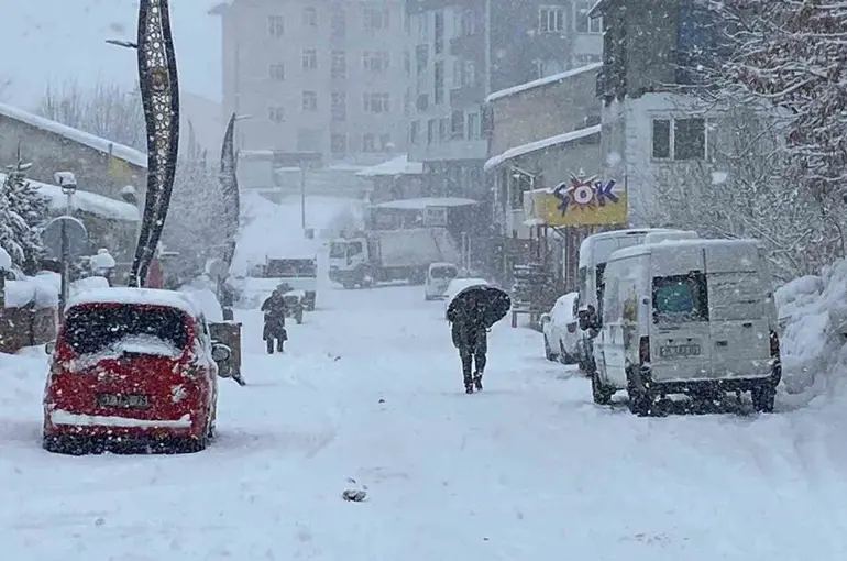 Karlıova’da kar yağışı başladı
