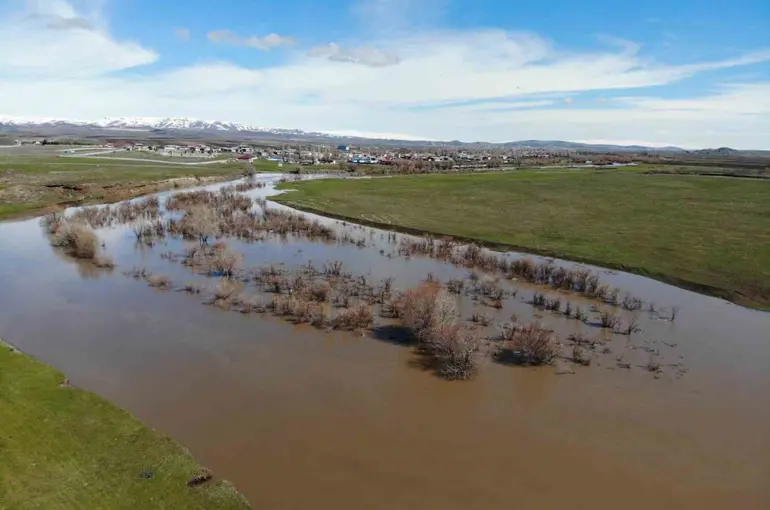 Kars Çayı taştı: Ağaçlar sular altında kaldı
