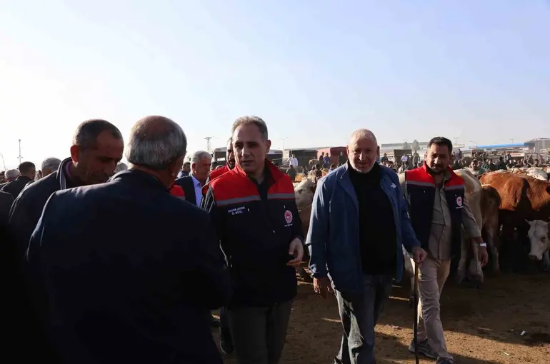 Kars Hayvan Pazarı’nda sıkı denetim: Hayvan hareketliliğine sağlık ve güvenlik filtresi
