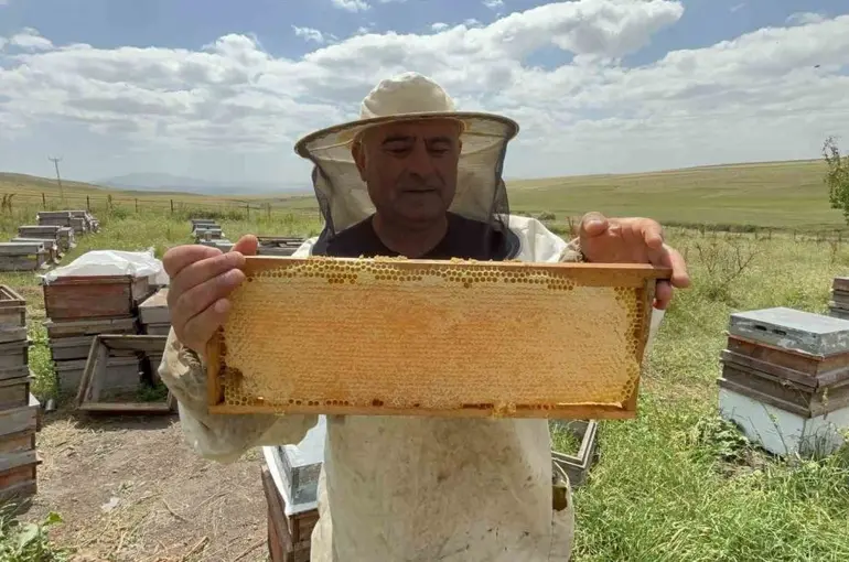 Kars’ta bal hasadı bereketli başladı: Kilosu 2 bin 500 TL’ye kadar çıkıyor
