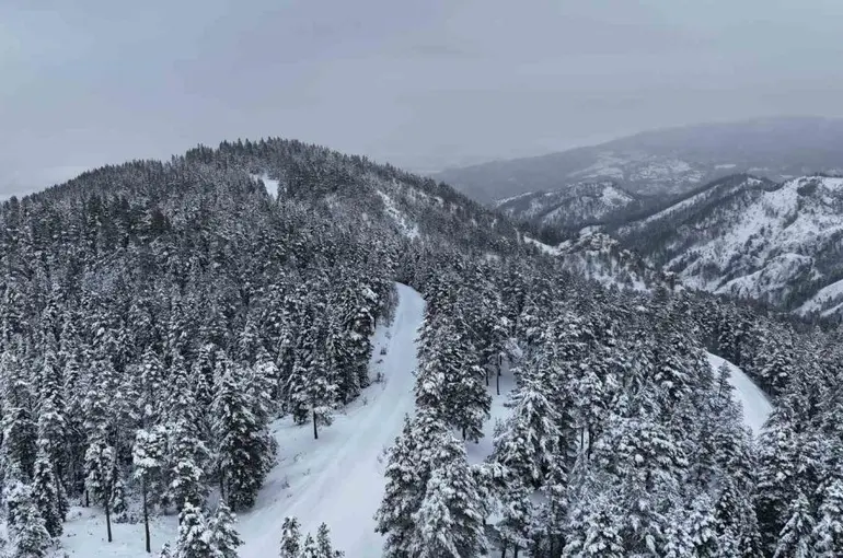 Kastamonu ormanlarında kış güzelliği
