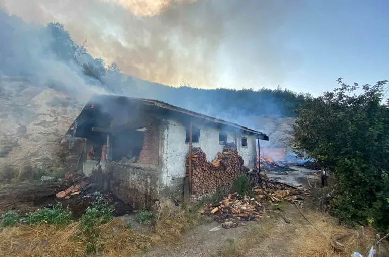 Kastamonu’da evde çıkan yangın ormana sıçradı
