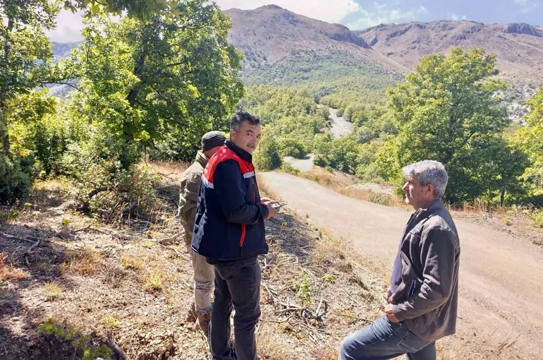 Kaybolan 9 büyükbaş hayvan dron ile bulundu
