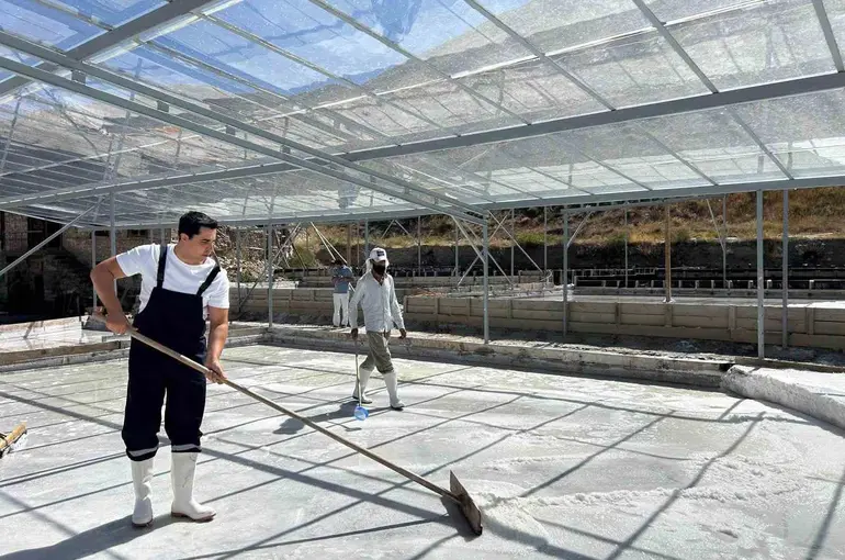 Kemah Kaymakamı Tutay, tuz hasadına katıldı
