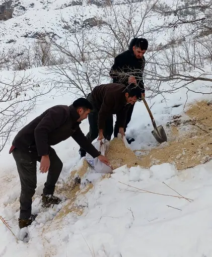 Kemah’ta yaban hayatı unutulmadı

