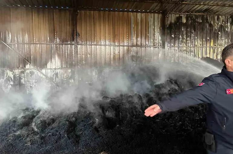 Keşan’da çıkan yangında bin saman balyası yandı
