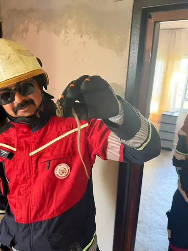 Kırıkhan’da eve giren yılanı itfaiye yakaladı

