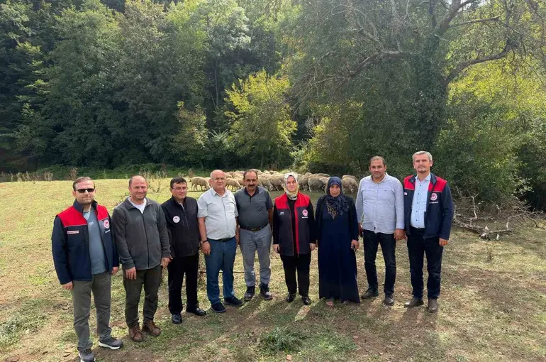 Kırsalda bereket, küçükbaşa destek

