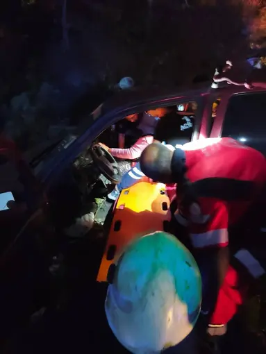 Kontrolden çıkan otomobil ormanlık alana uçtu: 4 yaralı
