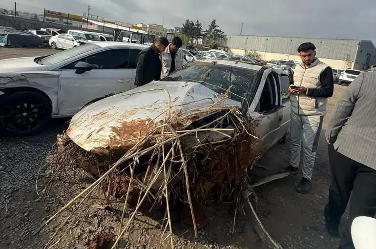 Kontrolden çıkarak devrilen otomobilin sürücüsü öldü
