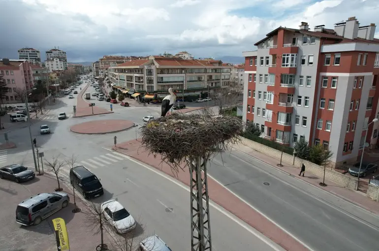Konya'nın leylekleri direkteki yuvalarına geldi