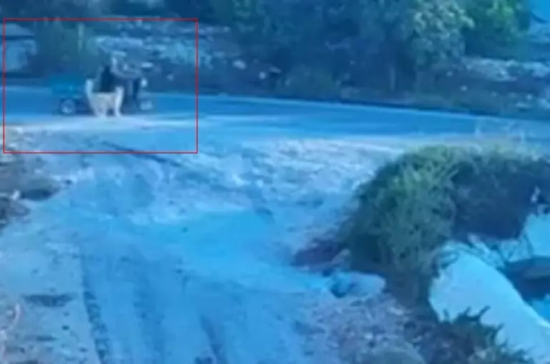 Köpek saldırınca motor devrildi
