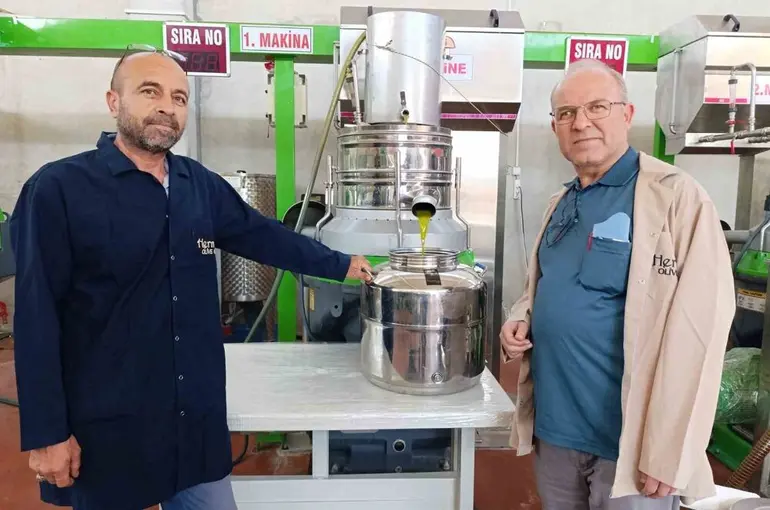 Köprübaşı’nda zeytin sıkım sezonu başladı
