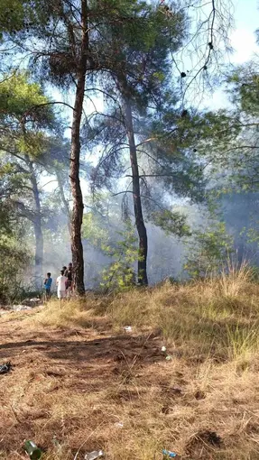 Köyceğiz’de orman yangınına erken müdahale
