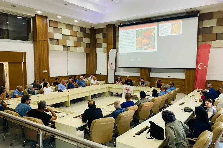 Kozan hurmasında hijyen seferberliği
