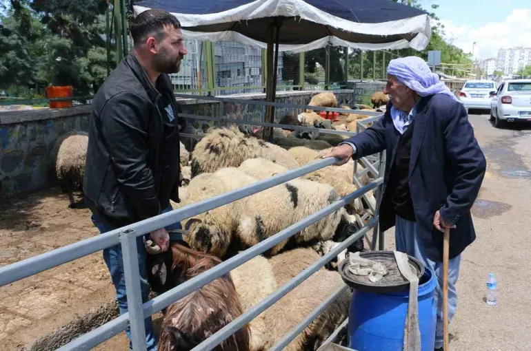 Kurban pazarında sessizlik: Satıcılar son günleri bekliyor
