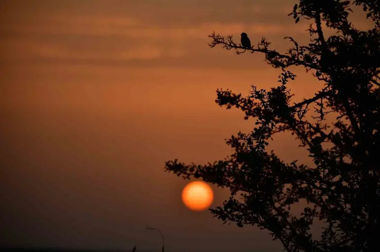 Kuş Cenneti’nde sonbahar
