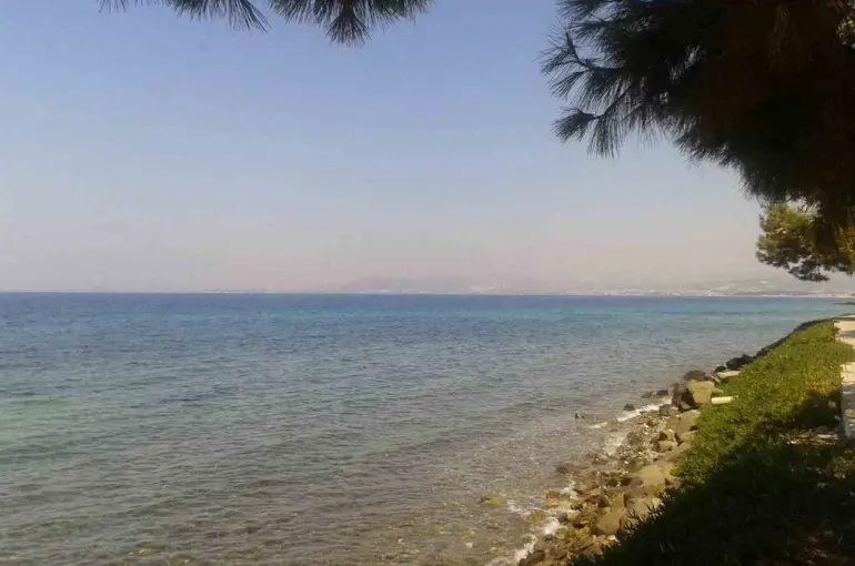 Kuşadası’nda deniz suyu kalitesi yüz güldürdü
