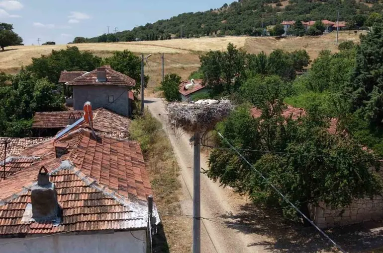 Kütahya’da leylekler bu köyün maskotu oldu
