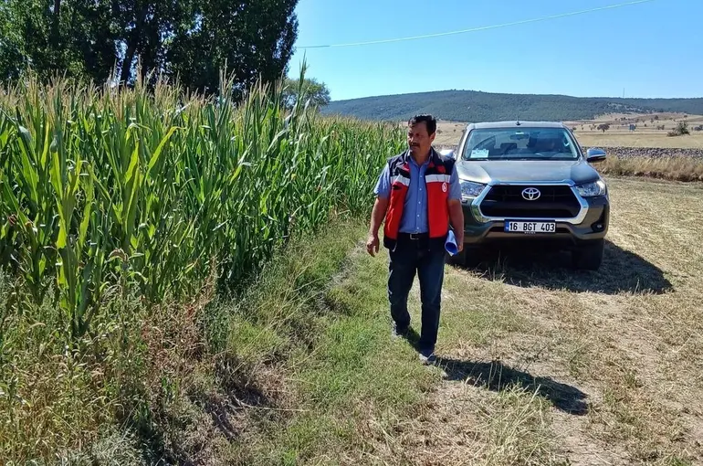 Kütahya’da silajlık mısır kontrolleri
