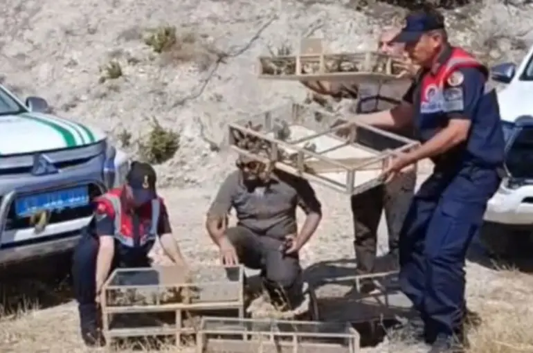 Kütahya’da yakalanan 142 saka kuşu doğaya salındı
