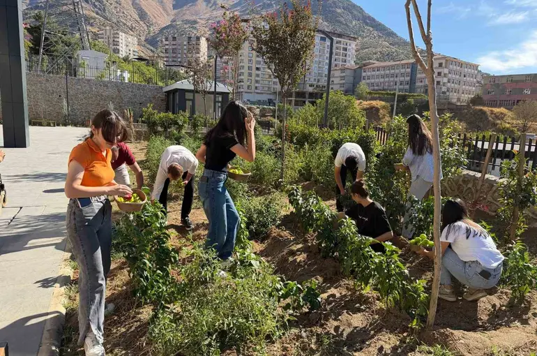 Kütüphane bahçesinde yetiştirdikleri sebzelerin hasadını gerçekleştirdiler

