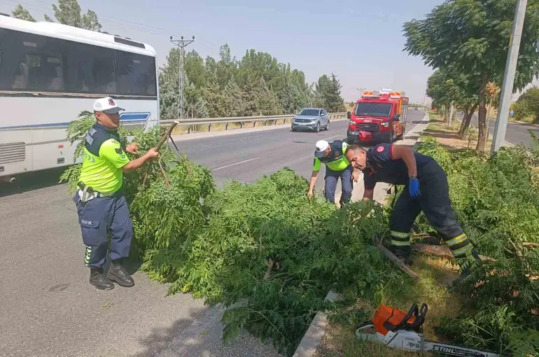 Kuvvetli rüzgar ağacı devirdi
